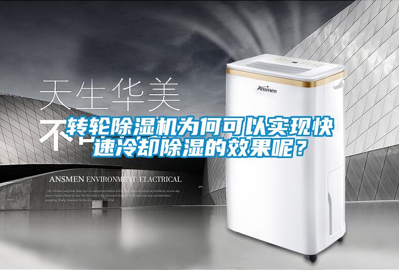轉輪除濕機為何可以實現快速冷卻除濕的效果呢?
