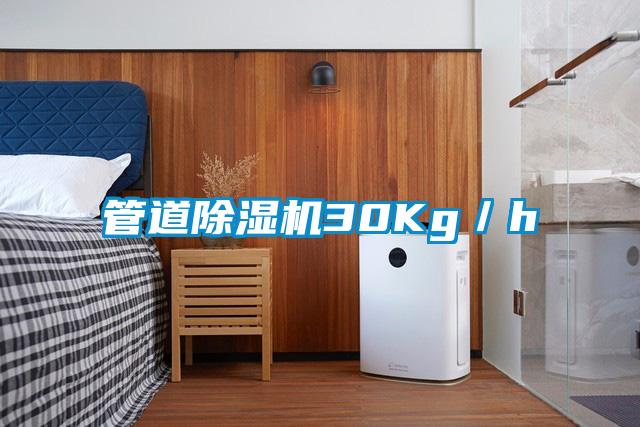 管道除濕機(jī)30Kg/h