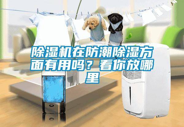 除濕機(jī)在防潮除濕方面有用嗎?看你放哪里