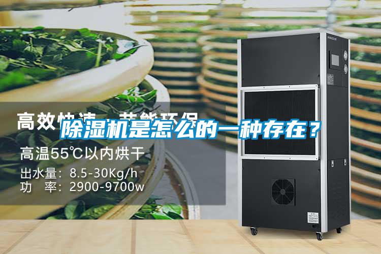 除濕機是怎么的一種存在?