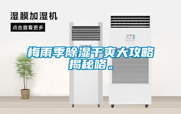 梅雨季除濕干爽大攻略揭秘咯。