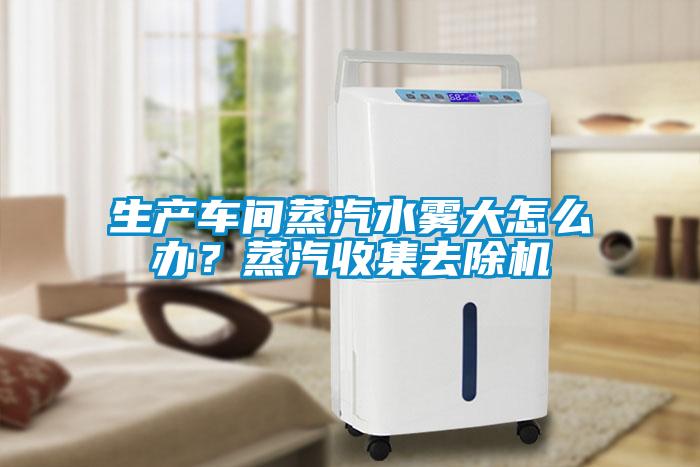 生產車間蒸汽水霧大怎么辦?蒸汽收集去除機