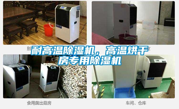 耐高溫除濕機,高溫烘干房專用除濕機