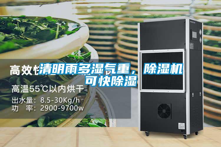 清明雨多濕氣重，除濕機可快除濕