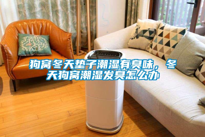 狗窩冬天墊子潮濕有臭味,冬天狗窩潮濕發(fā)臭怎么辦