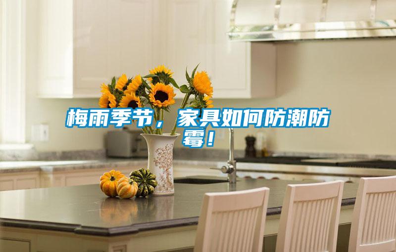 梅雨季節，家具如何防潮防霉！