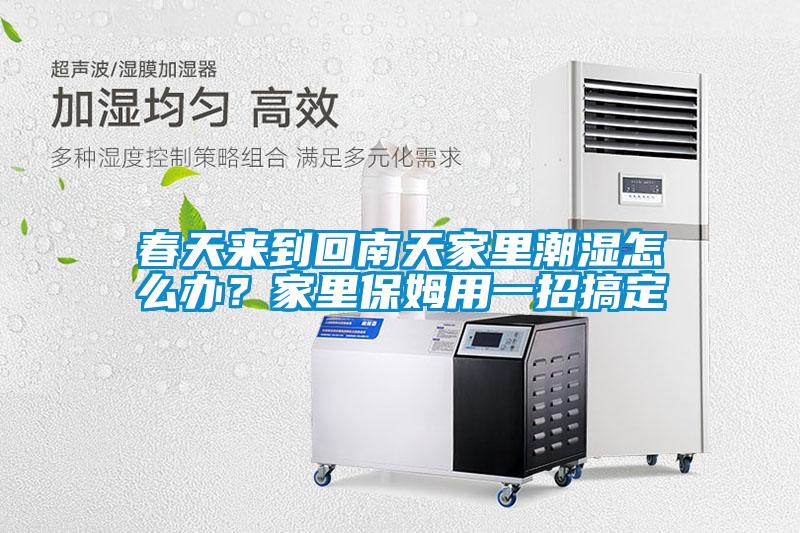 春天來到回南天家里潮濕怎么辦?家里保姆用一招搞定