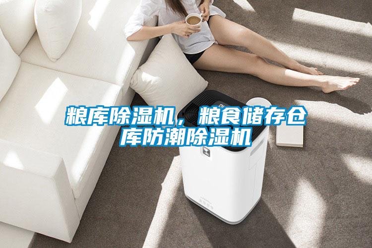 糧庫除濕機,糧食儲存?zhèn)}庫防潮除濕機