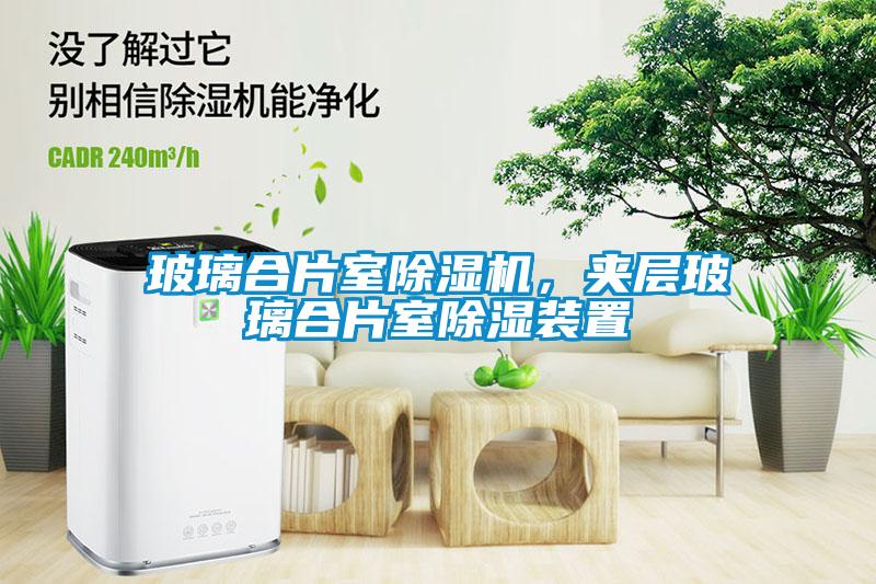 玻璃合片室除濕機,夾層玻璃合片室除濕裝置