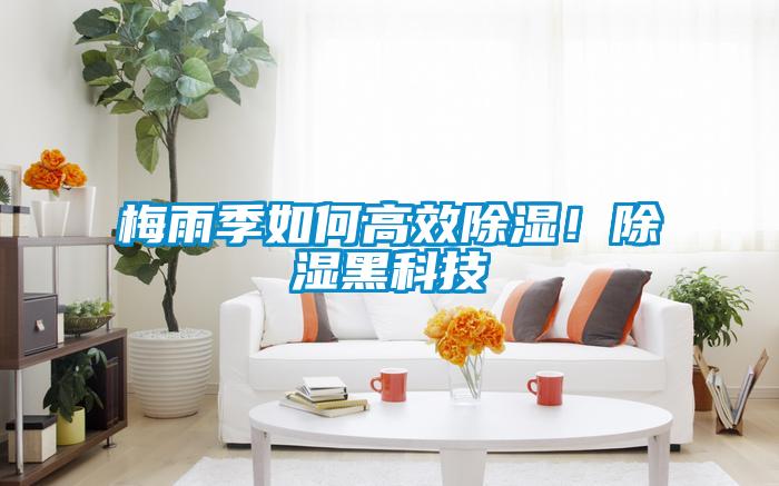 梅雨季如何高效除濕!除濕黑科技