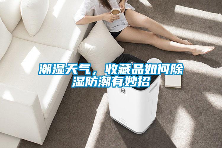 潮濕天氣,收藏品如何除濕防潮有妙招