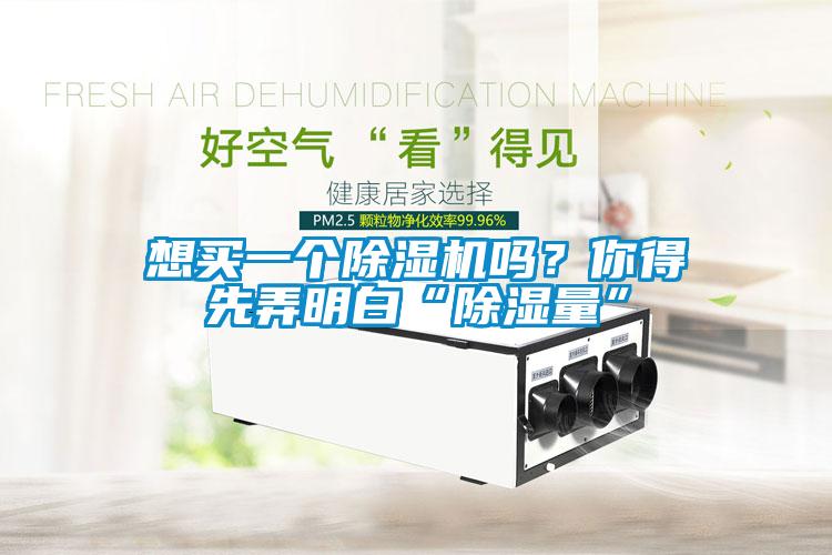 想買一個除濕機嗎？你得先弄明白“除濕量”