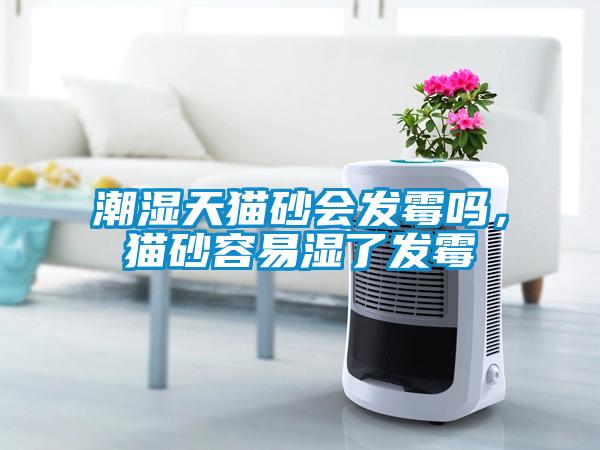 潮濕天貓砂會發霉嗎,貓砂容易濕了發霉