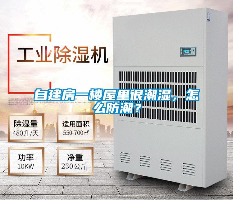 自建房一樓屋里很潮濕，怎么防潮？