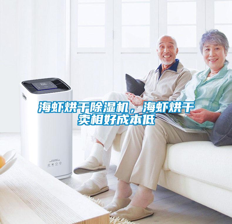 海蝦烘干除濕機,海蝦烘干賣相好成本低