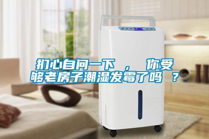 捫心自問一下 ， 你受夠老房子潮濕發(fā)霉了嗎 ？