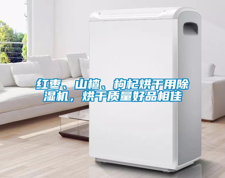 紅棗、山楂、枸杞烘干用除濕機，烘干質量好品相佳