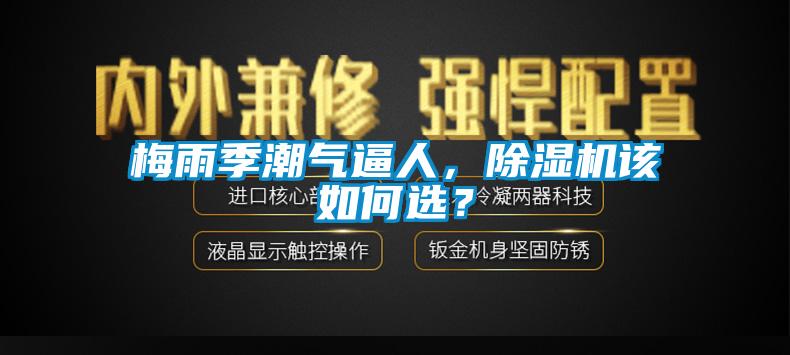 梅雨季潮氣逼人,除濕機該如何選?