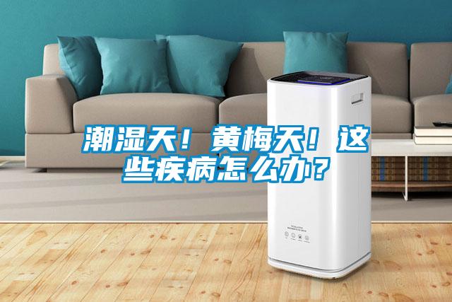 潮濕天!黃梅天!這些疾病怎么辦?