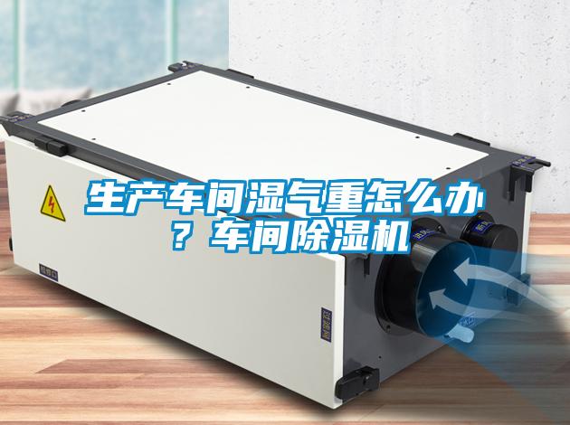 生產車間濕氣重怎么辦?車間除濕機