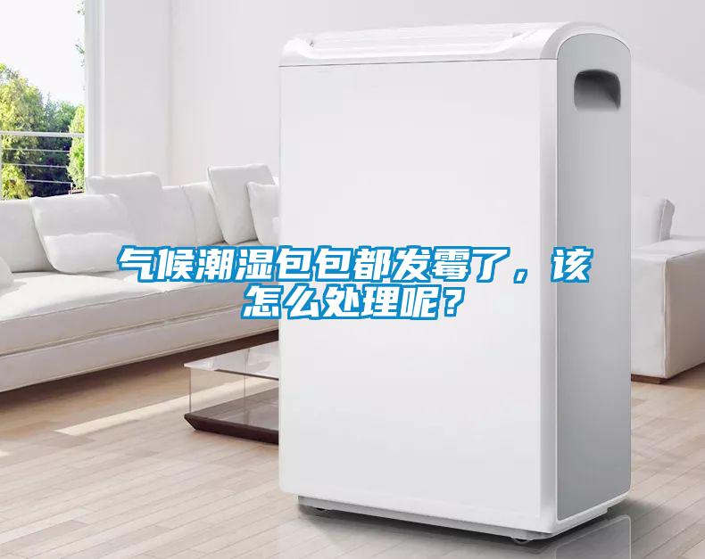 氣候潮濕包包都發霉了,該怎么處理呢?