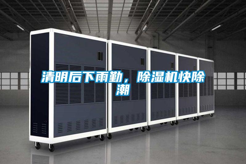 清明后下雨勤，除濕機快除潮