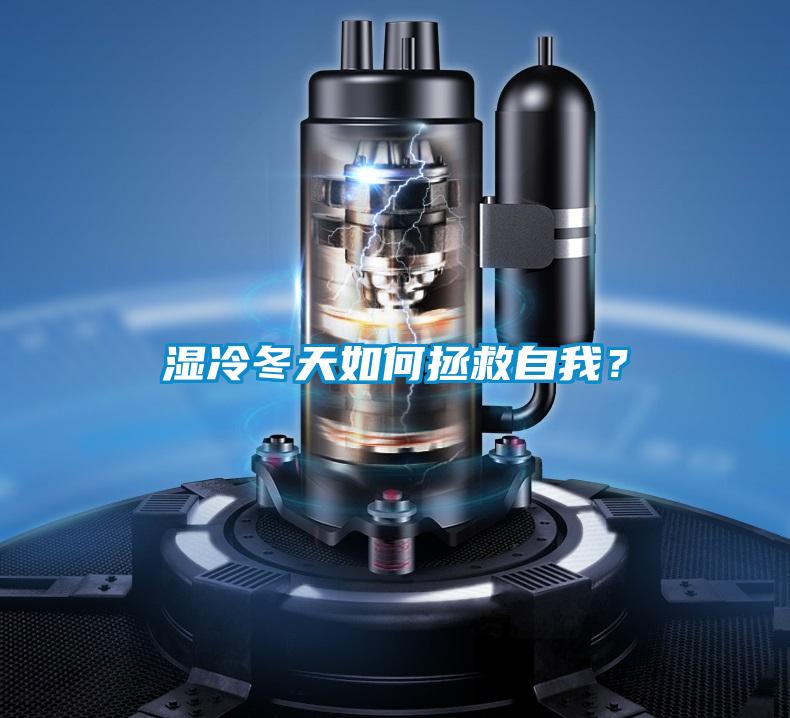 濕冷冬天如何拯救自我?