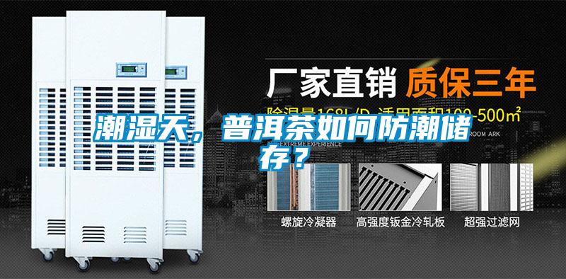 潮濕天,普洱茶如何防潮儲存?