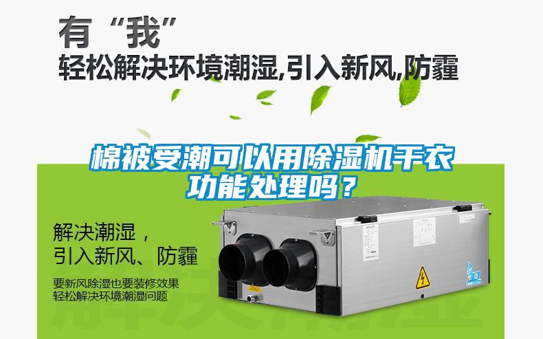 棉被受潮可以用除濕機干衣功能處理嗎?
