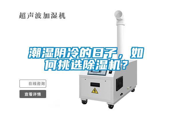 潮濕陰冷的日子，如何挑選除濕機？