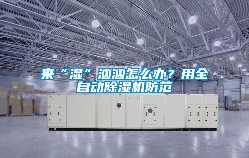 來“濕”洶洶怎么辦?用全自動除濕機防范
