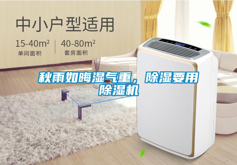 秋雨如晦濕氣重，除濕要用除濕機