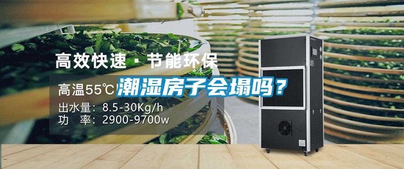 潮濕房子會塌嗎？