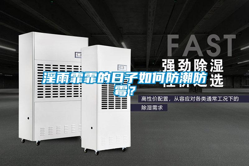 淫雨霏霏的日子如何防潮防霉?
