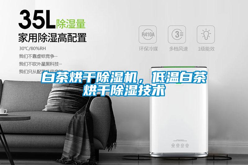 白茶烘干除濕機,低溫白茶烘干除濕技術