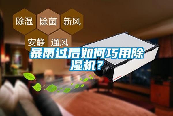 暴雨過后如何巧用除濕機?