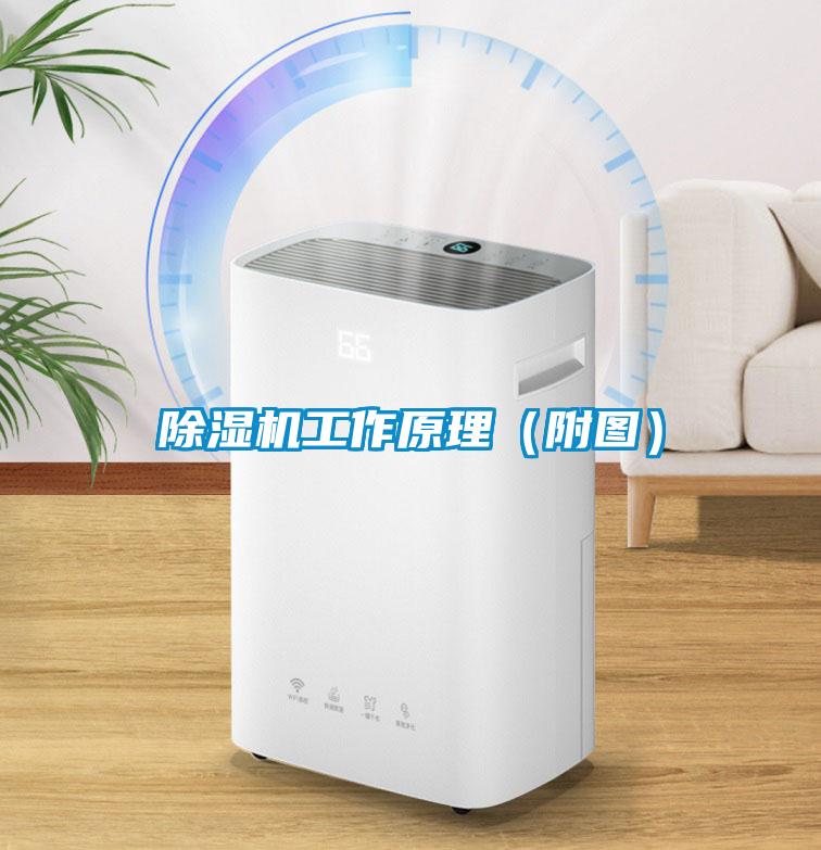 除濕機工作原理(附圖)