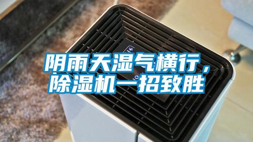 陰雨天濕氣橫行，除濕機一招致勝