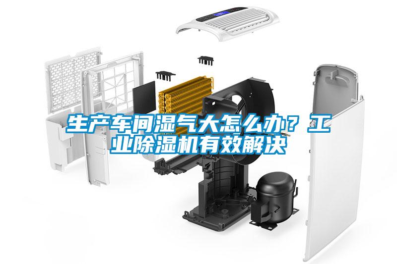 生產車間濕氣大怎么辦?工業除濕機有效解決