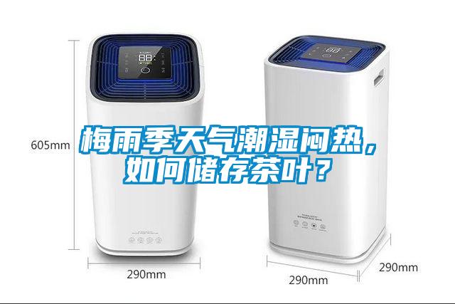 梅雨季天氣潮濕悶熱,如何儲存茶葉?