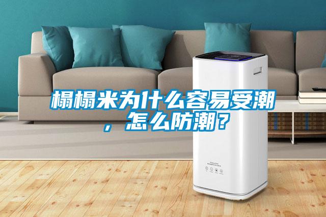 榻榻米為什么容易受潮,怎么防潮?