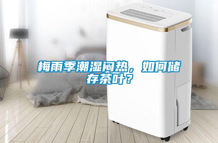 梅雨季潮濕悶熱,如何儲存茶葉?