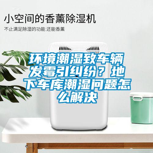 環(huán)境潮濕致車輛發(fā)霉引糾紛?地下車庫潮濕問題怎么解決