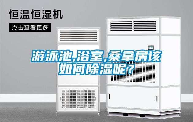 游泳池,浴室,桑拿房該如何除濕呢?