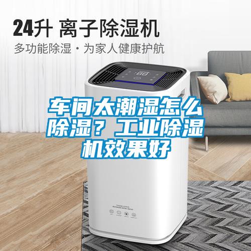 車(chē)間太潮濕怎么除濕？工業(yè)除濕機(jī)效果好