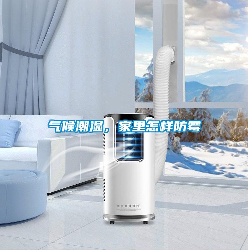 氣候潮濕,家里怎樣防霉