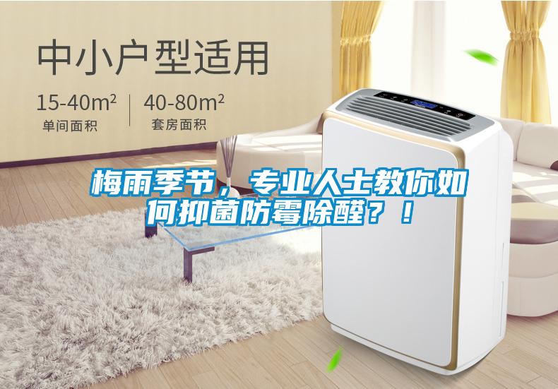 梅雨季節，專業人士教你如何抑菌防霉除醛？！