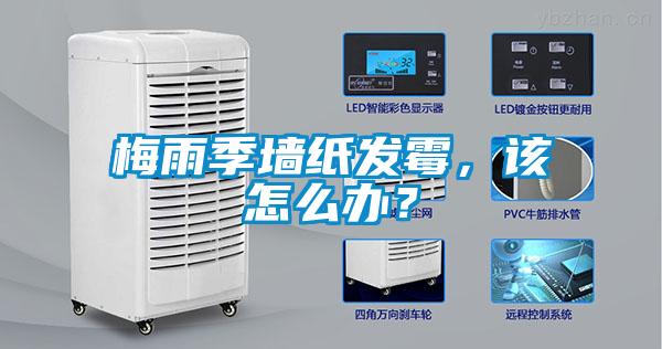 梅雨季墻紙發霉,該怎么辦?