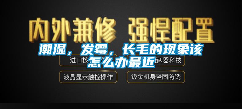 潮濕，發霉，長毛的現象該怎么辦最近