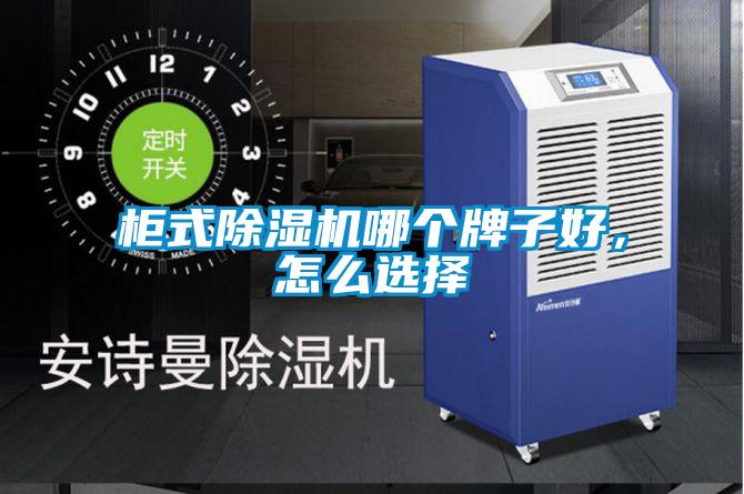 柜式除濕機(jī)哪個(gè)牌子好,怎么選擇